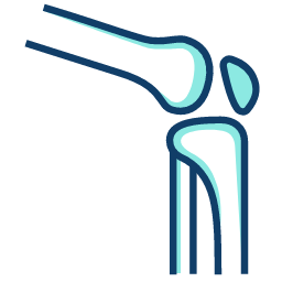 Computerized Laboratory